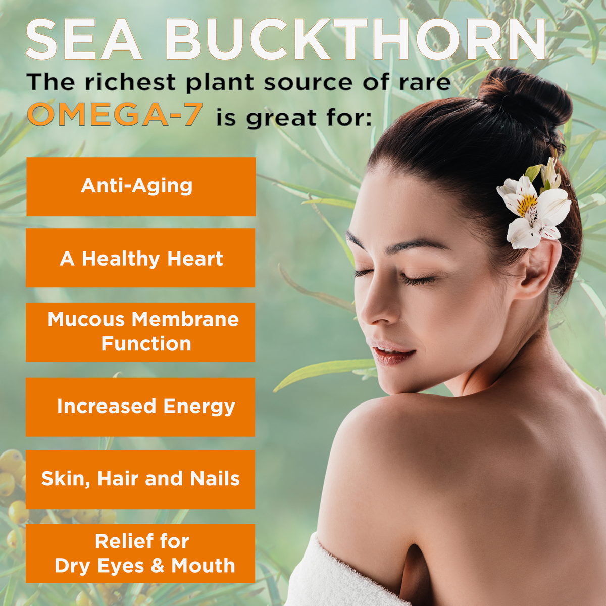 Miracle Sea Buckthorn HYDRATE Juice, Organic Pineapple Peach, 6-Pack