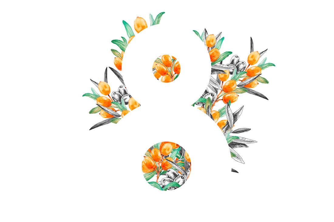 8 Sea Buckthorn Bioactive Compounds and their Therapeutic Effects