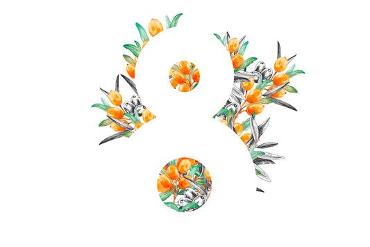8 Sea Buckthorn Bioactive Compounds and their Therapeutic Effects