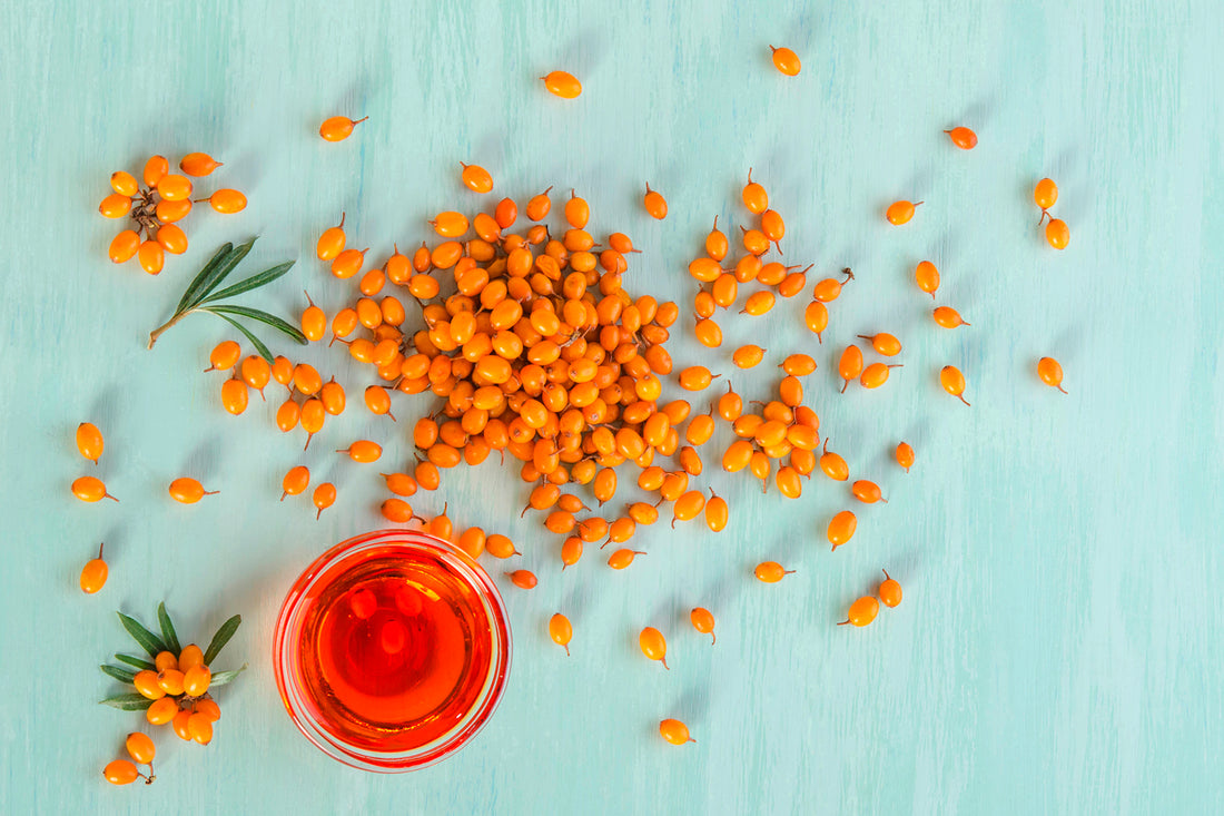 Sea Buckthorn and its Anticancer Properties