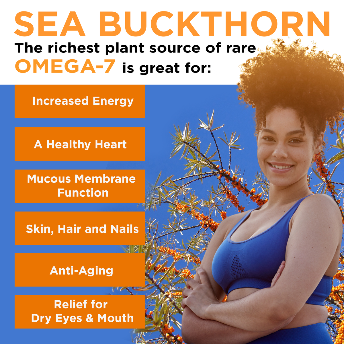Miracle Sea Buckthorn PERFORM, Organic Wellness Juice, 6-Pack